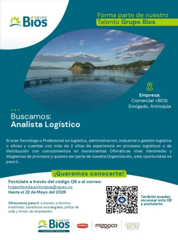 analista logístico