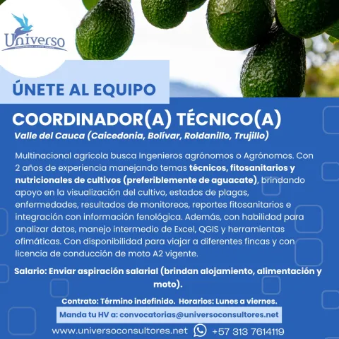 coordinador