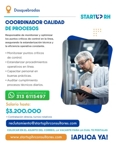 coordinador calidad