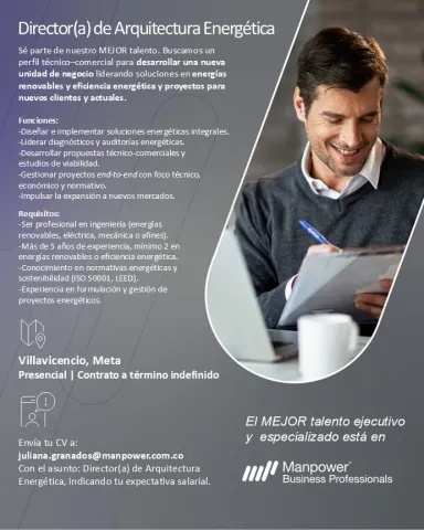 director arquitectura