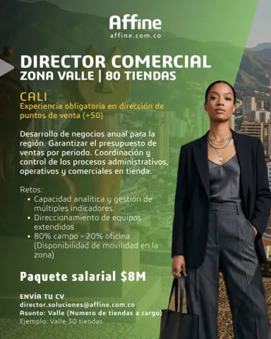 director comercial