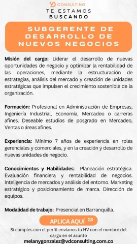 subgerente desarrollo