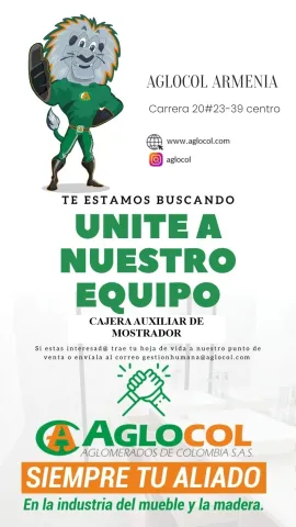 Cajera auxiliar