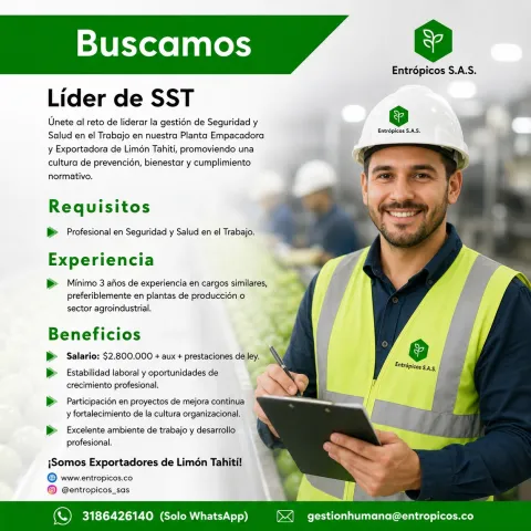 Líder SST
