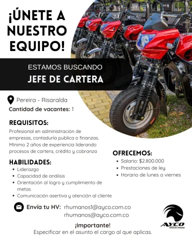 Jefe de cartera