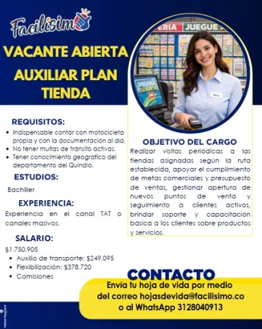 Auxiliar plan tienda