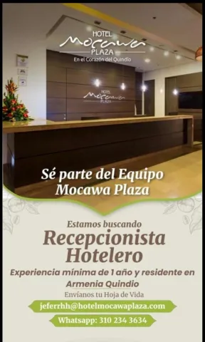 Recepcionista Mocawa AXM 