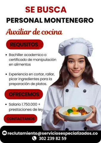 Auxiliar de cocina