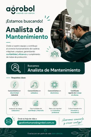 Analista de mantenimiento