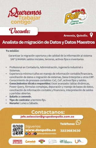 Analista de migración de datos y datos maestros