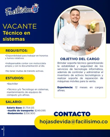 Técnico en sistemas