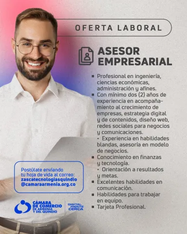 Asesor empresarial