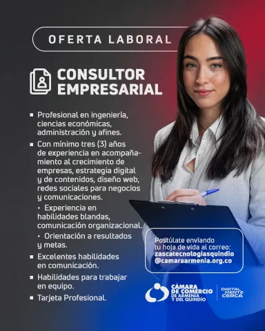 Consultor empresarial