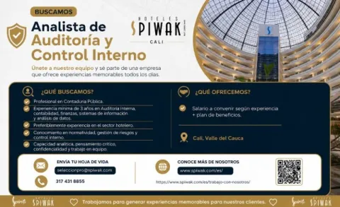 Analista de auditoría y control interno