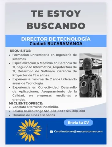 Director de tecnología