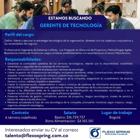 Gerente de tecnología - Flexo Spring