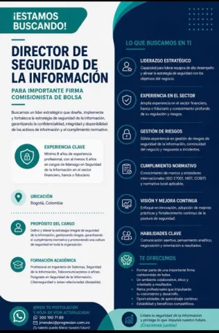 Director de seguridad de la información