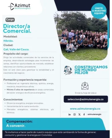 Director comercial