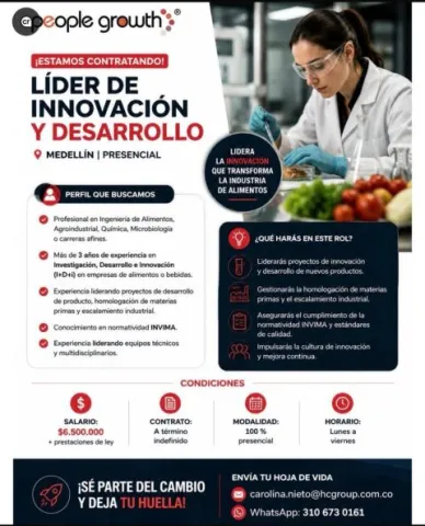Líder de innovación y desarrollo