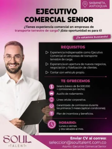 Ejecutivo comercial senior