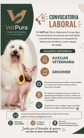 Auxiliar veterinaria y groomer — VetPura - QUIMB