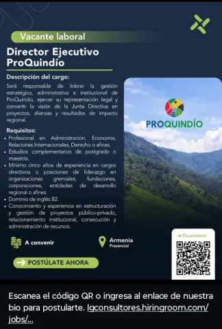 Director ejecutivo