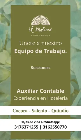 Auxiliar Contable
