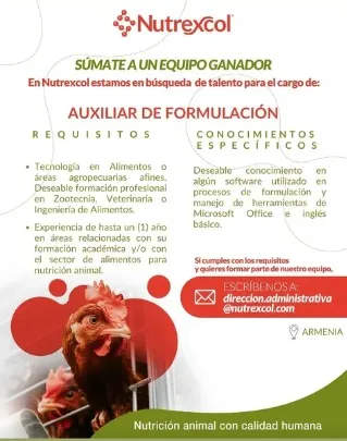 Auxiliar de formulación
