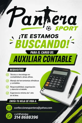 Auxiliar Contable