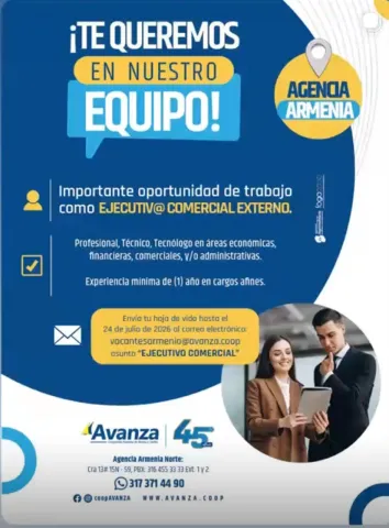 Ejecutivo comercial externo - Avanza