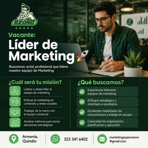 Líder de Marketing