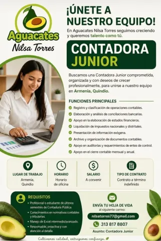 Contadora Junior