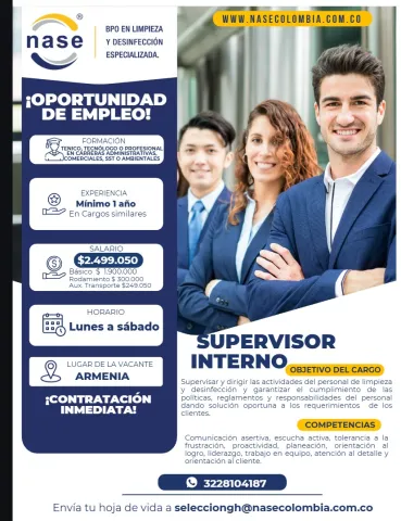 Supervisor interno