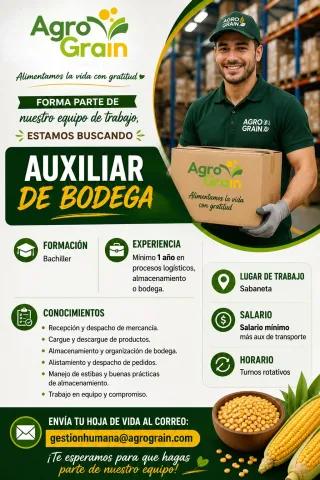 Auxiliar de bogeda