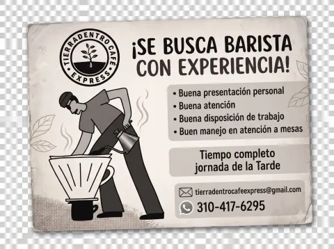 Barista