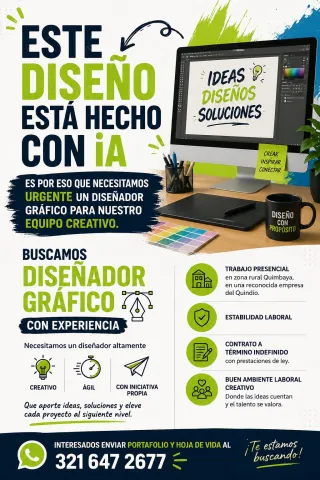 Diseñador Gráfico