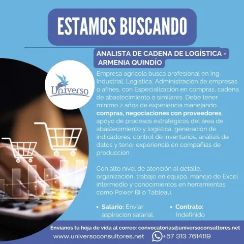 Analista de Cadena de Logística