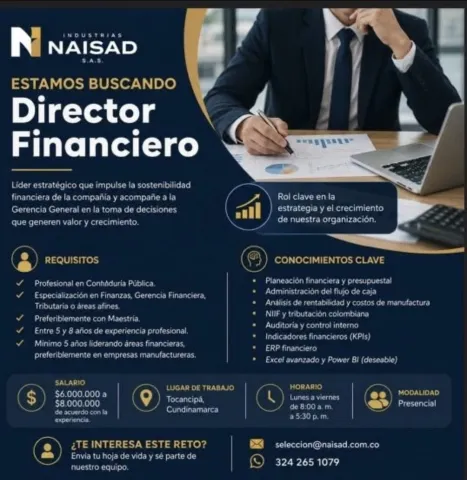 Director Financiero - Naisad