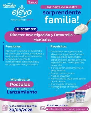 Director de I+D