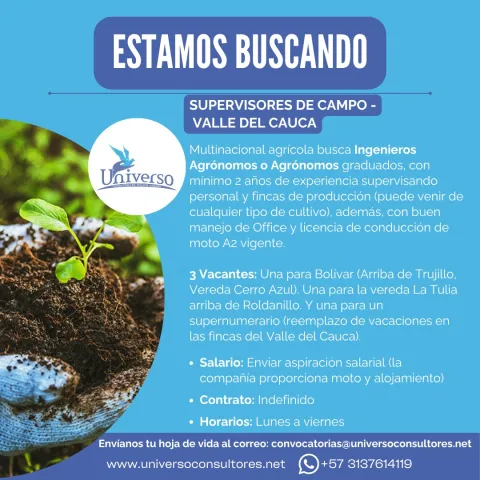Supervisores de campo Universo Consultores
