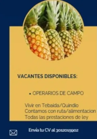 Operarios de Campo