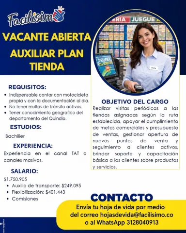 Aux. plan tienda - Facilísimo