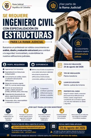 Ingeniero civil - Rama Judicial