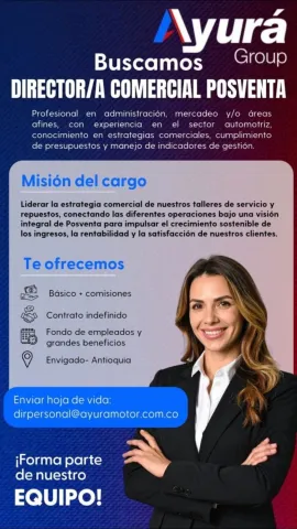 Director comercial posventa - Ayurá