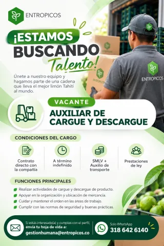 Aux. de Cargue y Descargue - Entropicos