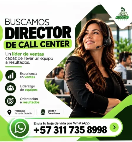 Director de Call Center - Super Ozono