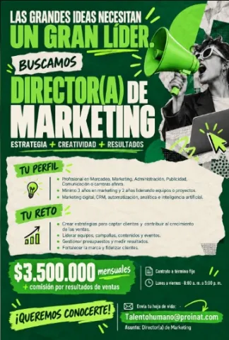 Director(a) de Marketing - Proinat