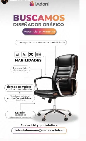 Diseñador Gráfico - IAdani