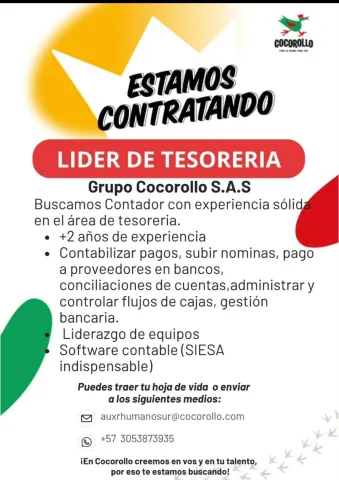 Líder de Tesorería - Cocorollo