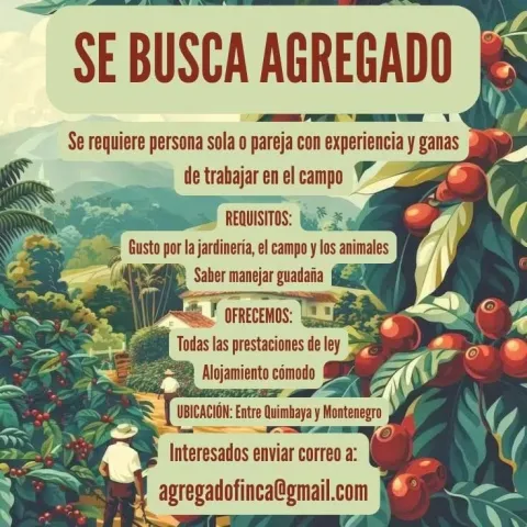 Se Busca Agregado - Finca Quimbaya